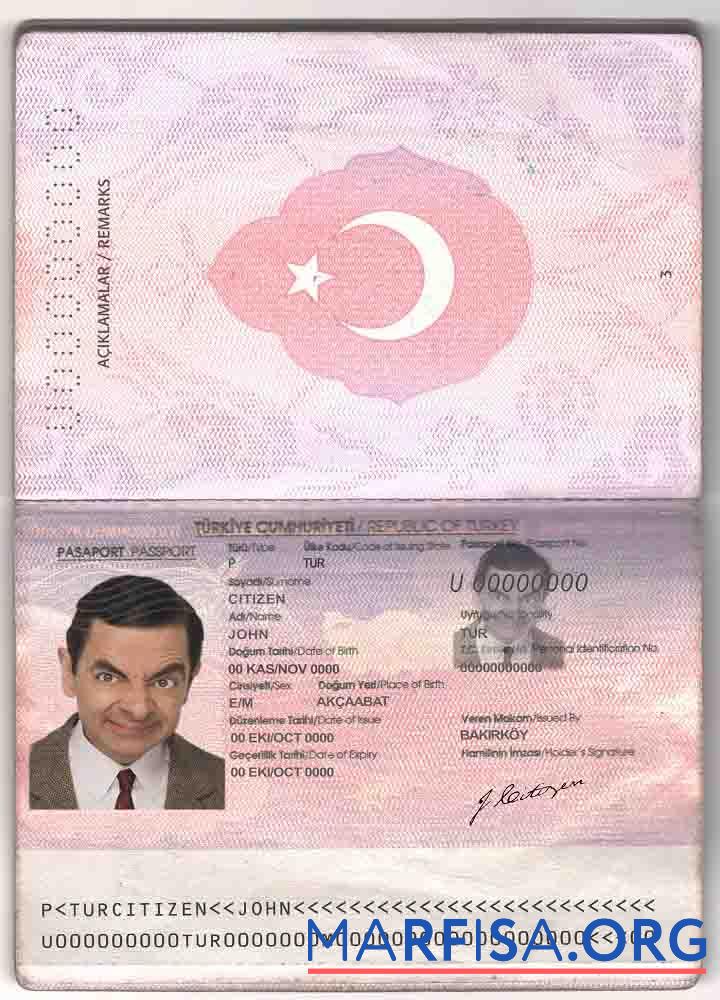 Blank Turkey passport old example